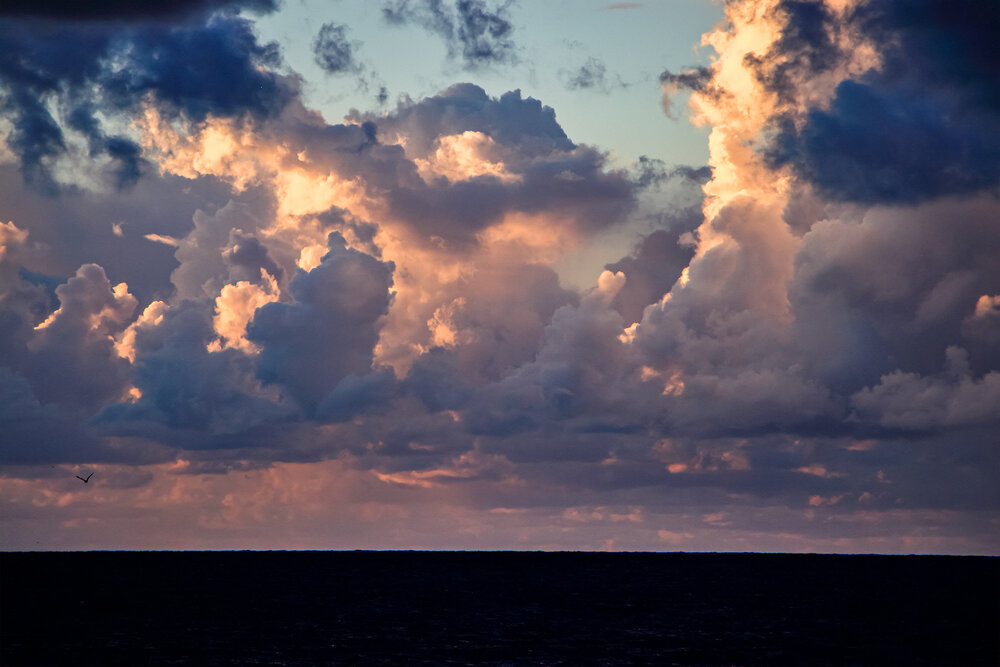 Photograph by Светлана Долотова