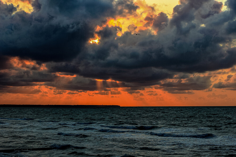 Photograph by Светлана Долотова