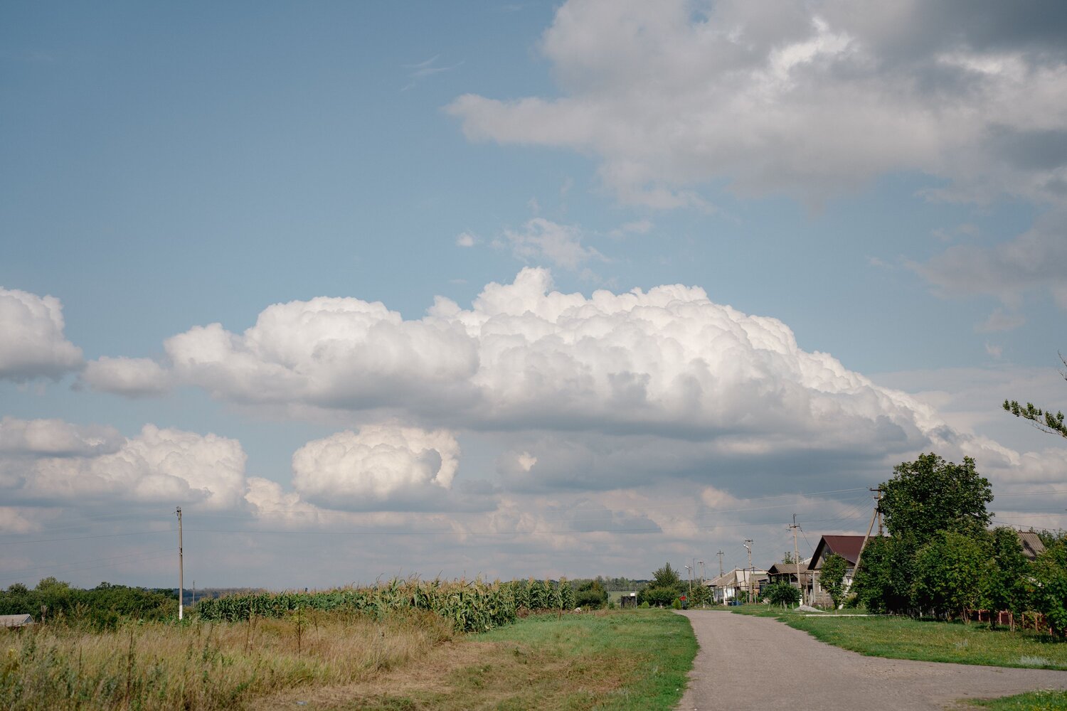 Photo #13781542