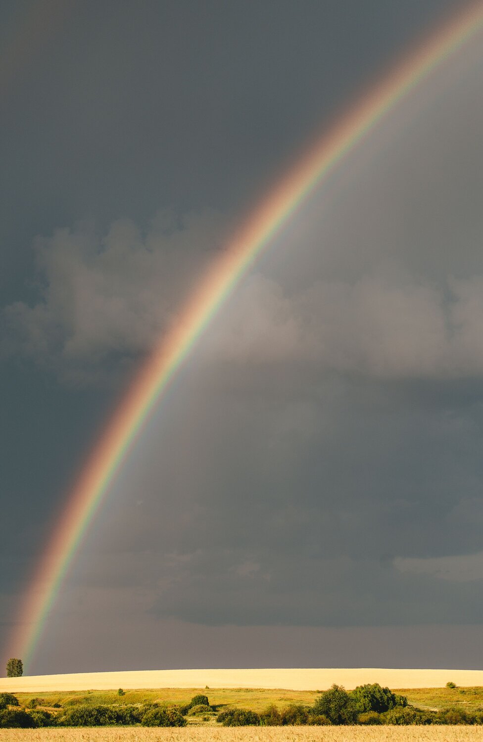 Photo #13781558