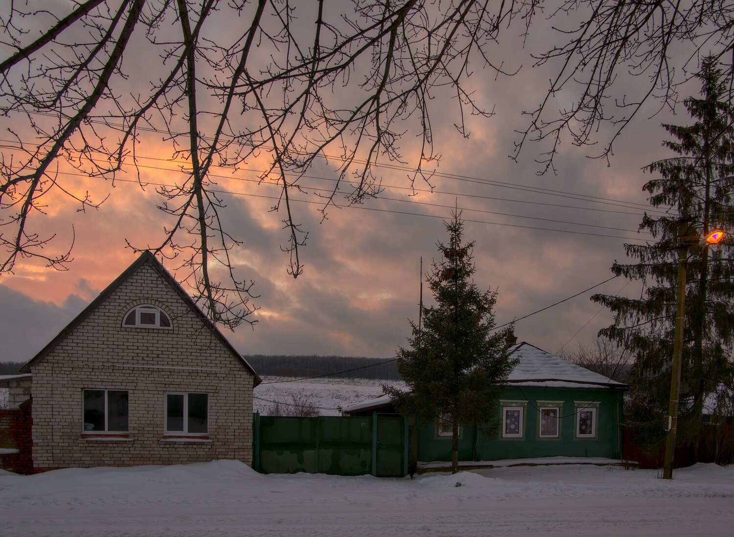 Photo #13781561