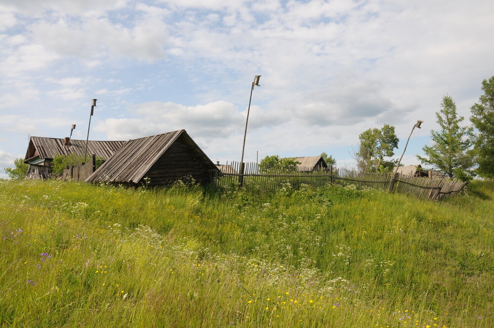 Photo #13781566