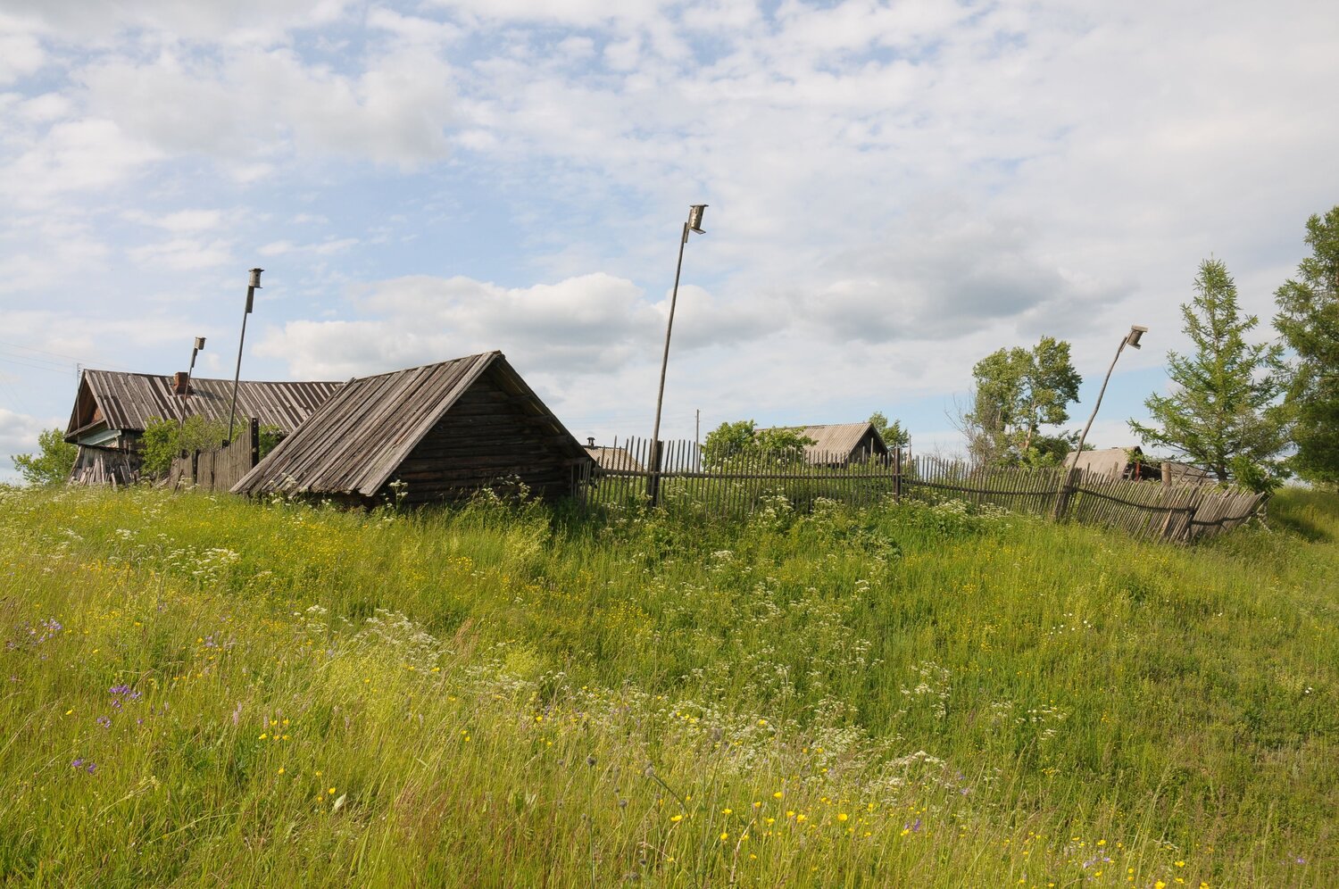 Photo #13781566