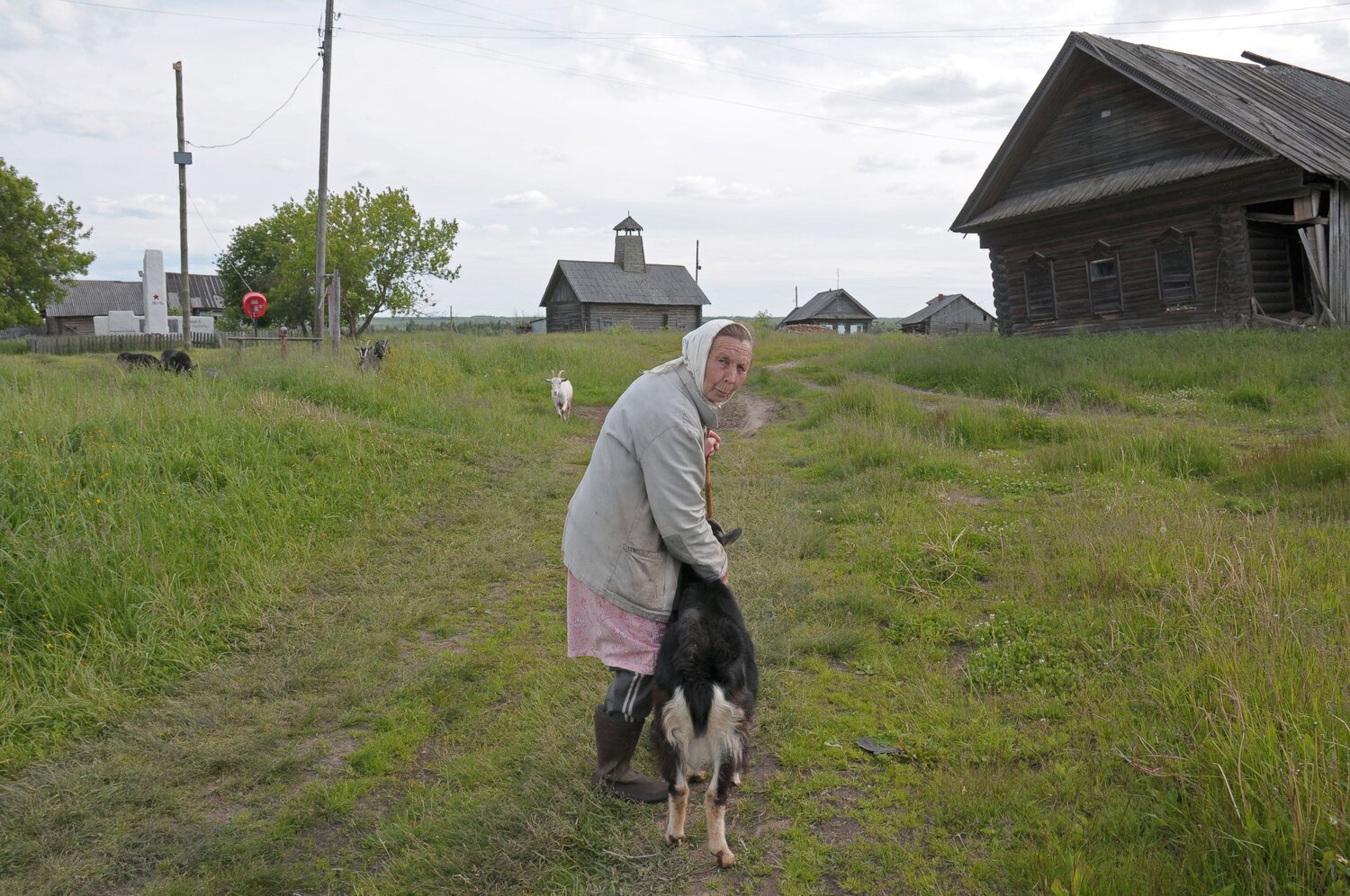 Photo #13781573