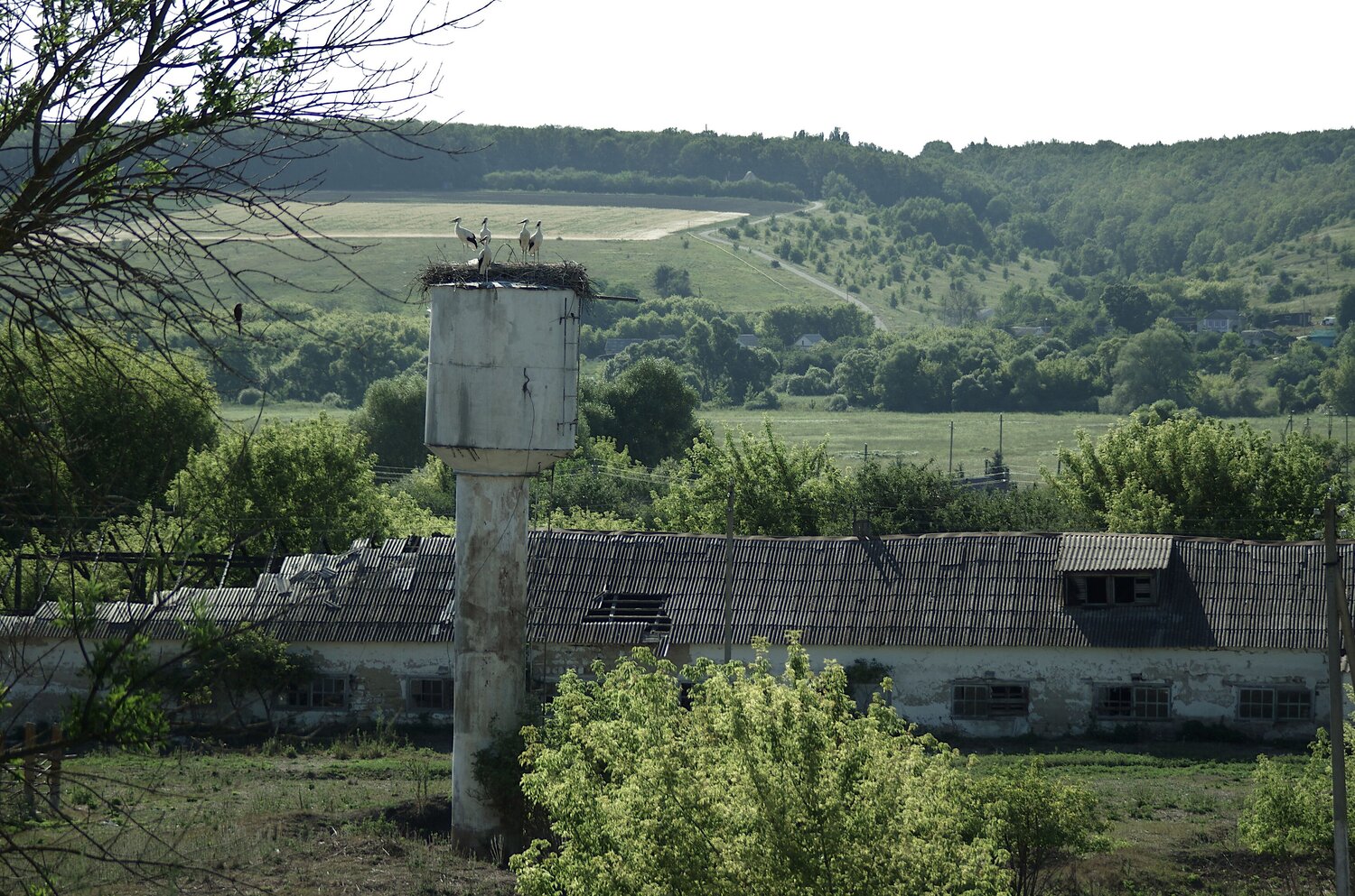 Photo #13781579
