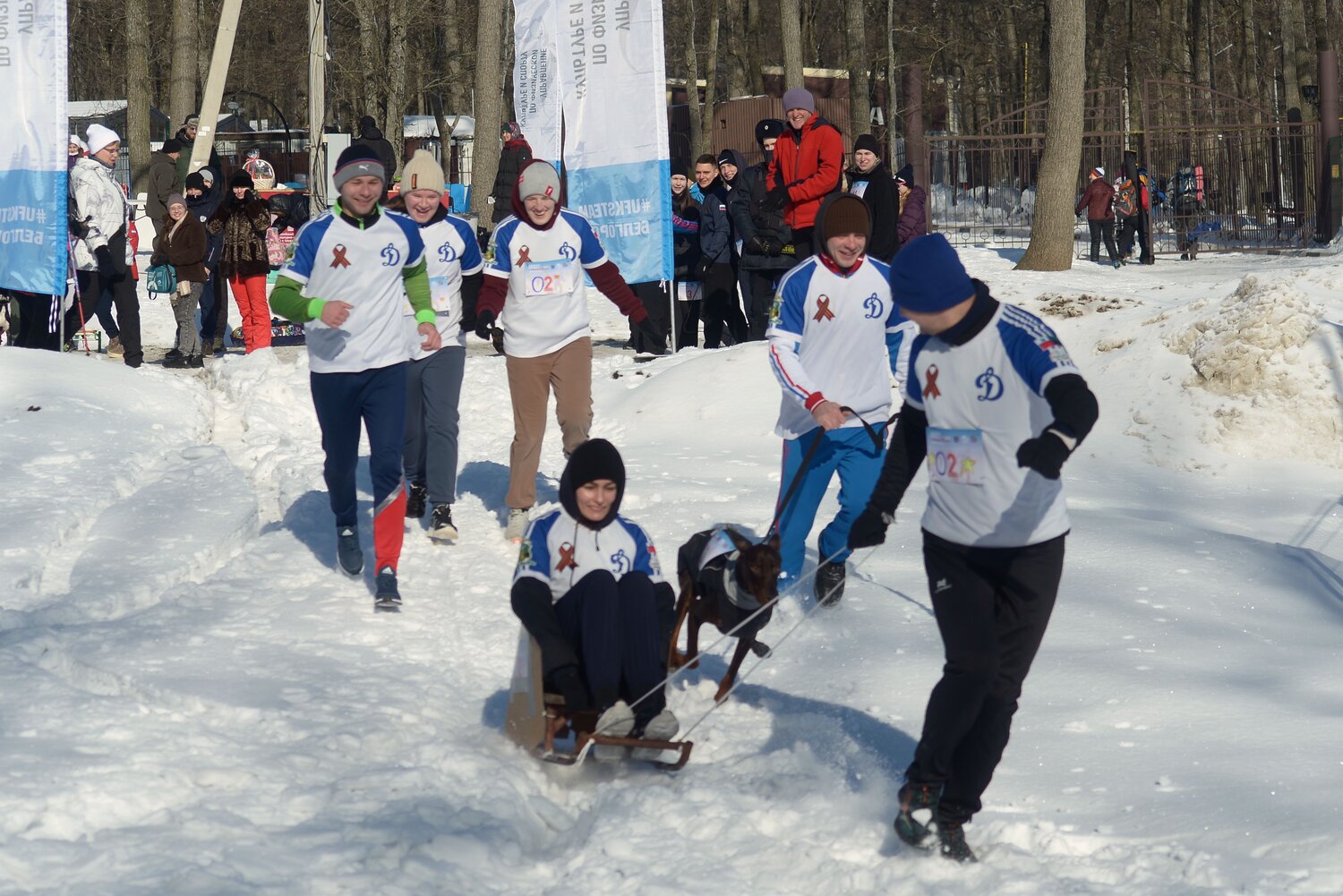 Photo #13781653