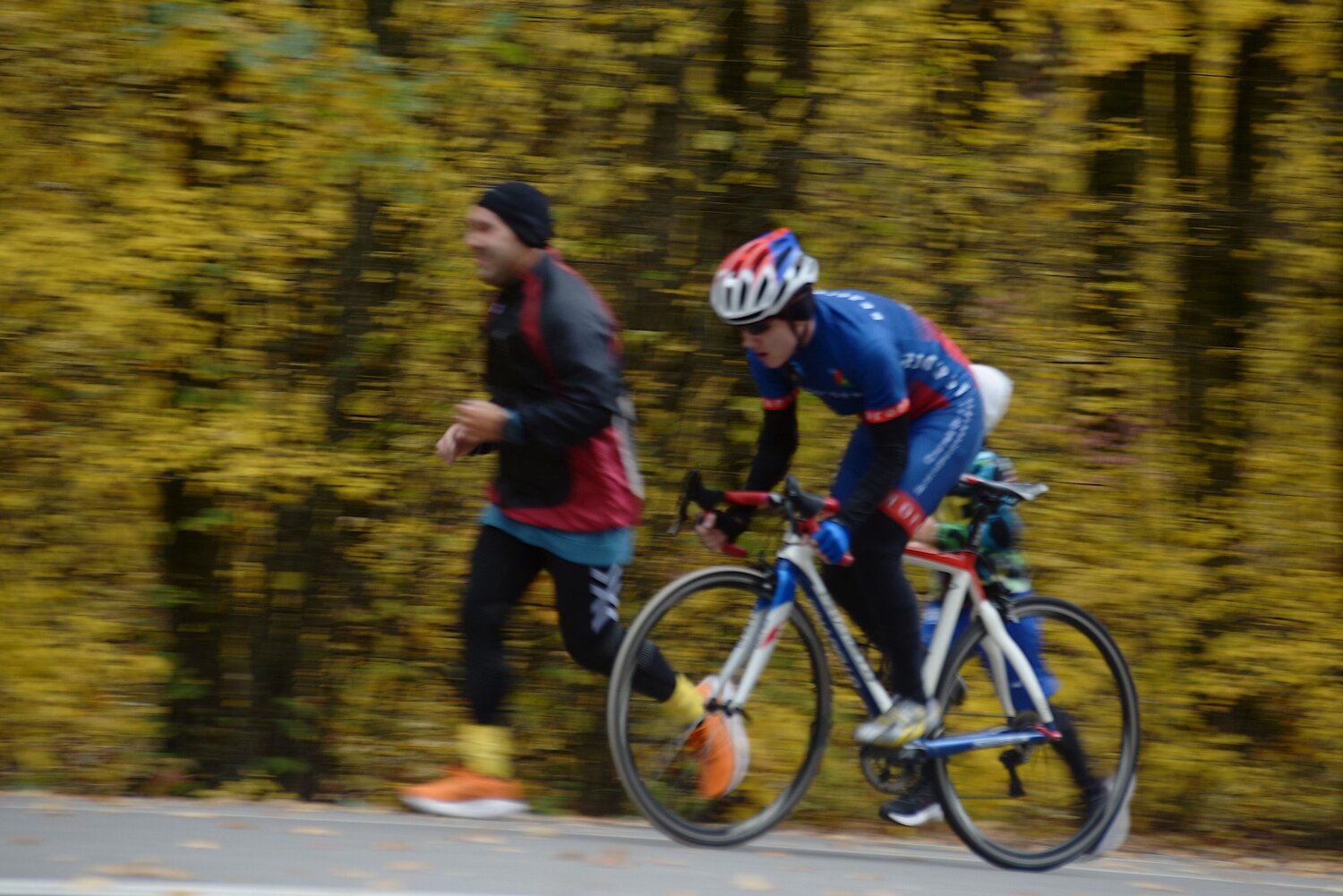 Photo #13781655