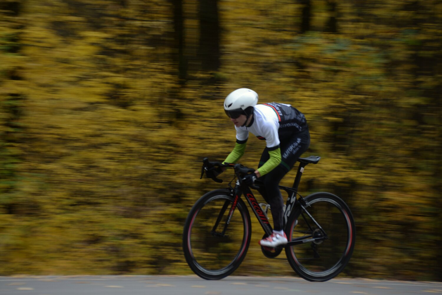 Photo #13781656