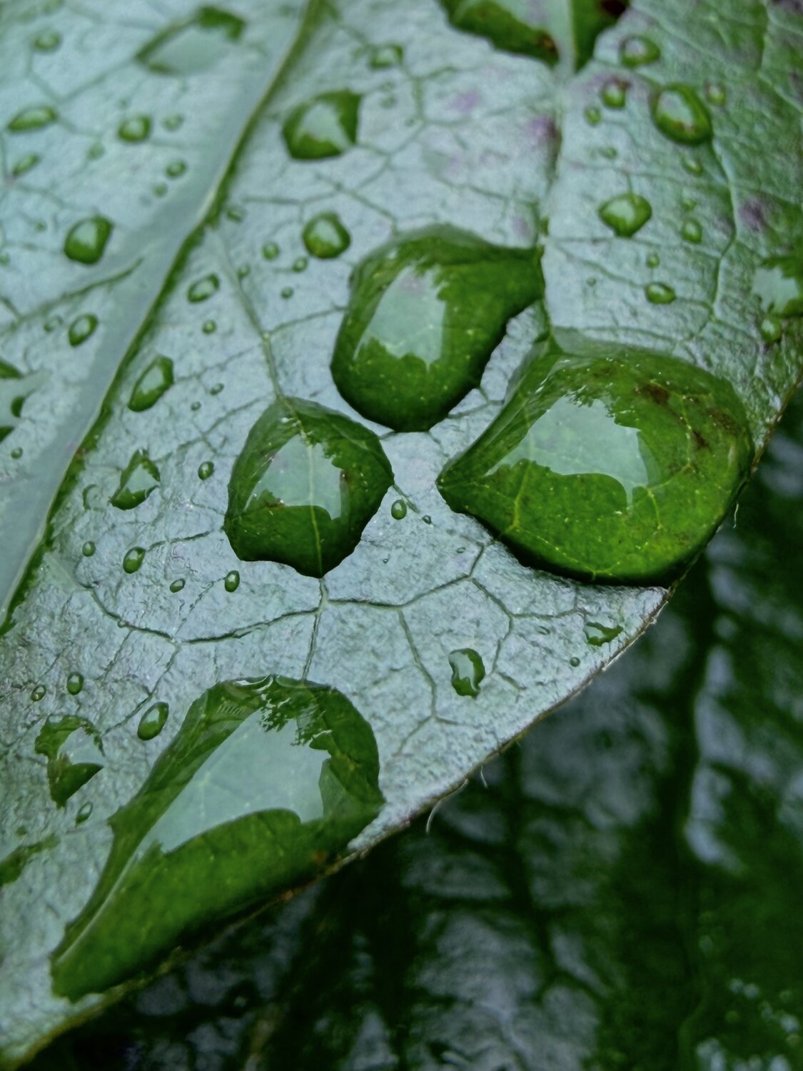 Photo #13781684