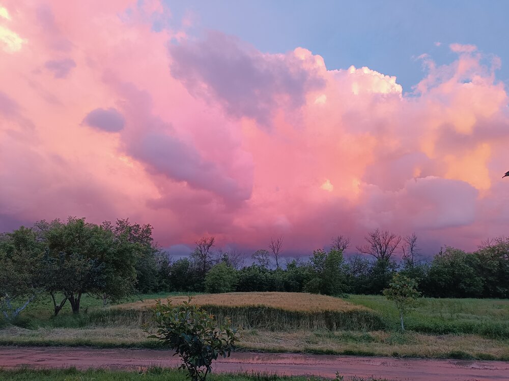 Photograph by Дарья Зотова
