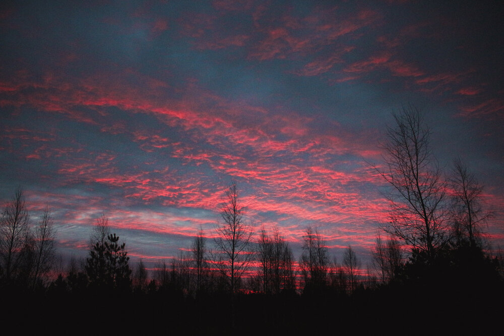 Photograph by Василиса Сметанкина