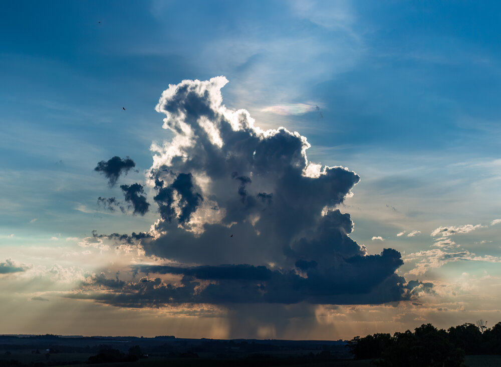 Photograph by Valdir Hobus
