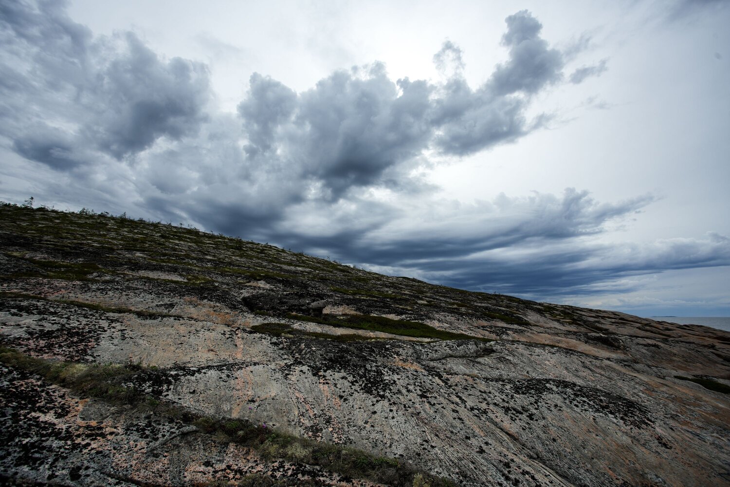 Photo #13782010