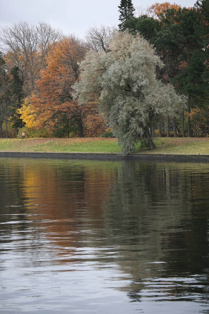 Photograph by Наталья Иванова