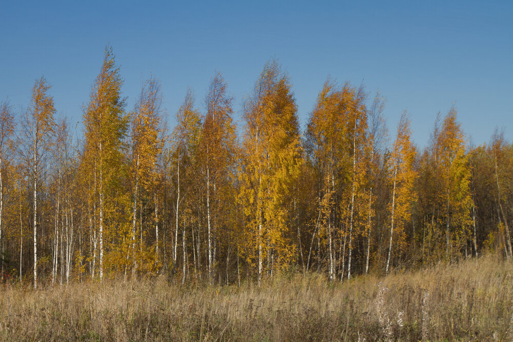 Photograph by Наталья Иванова