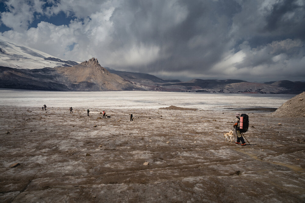 Photo #13782134