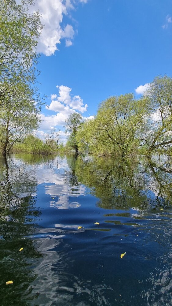 Photograph by Татьяна Гуцанович
