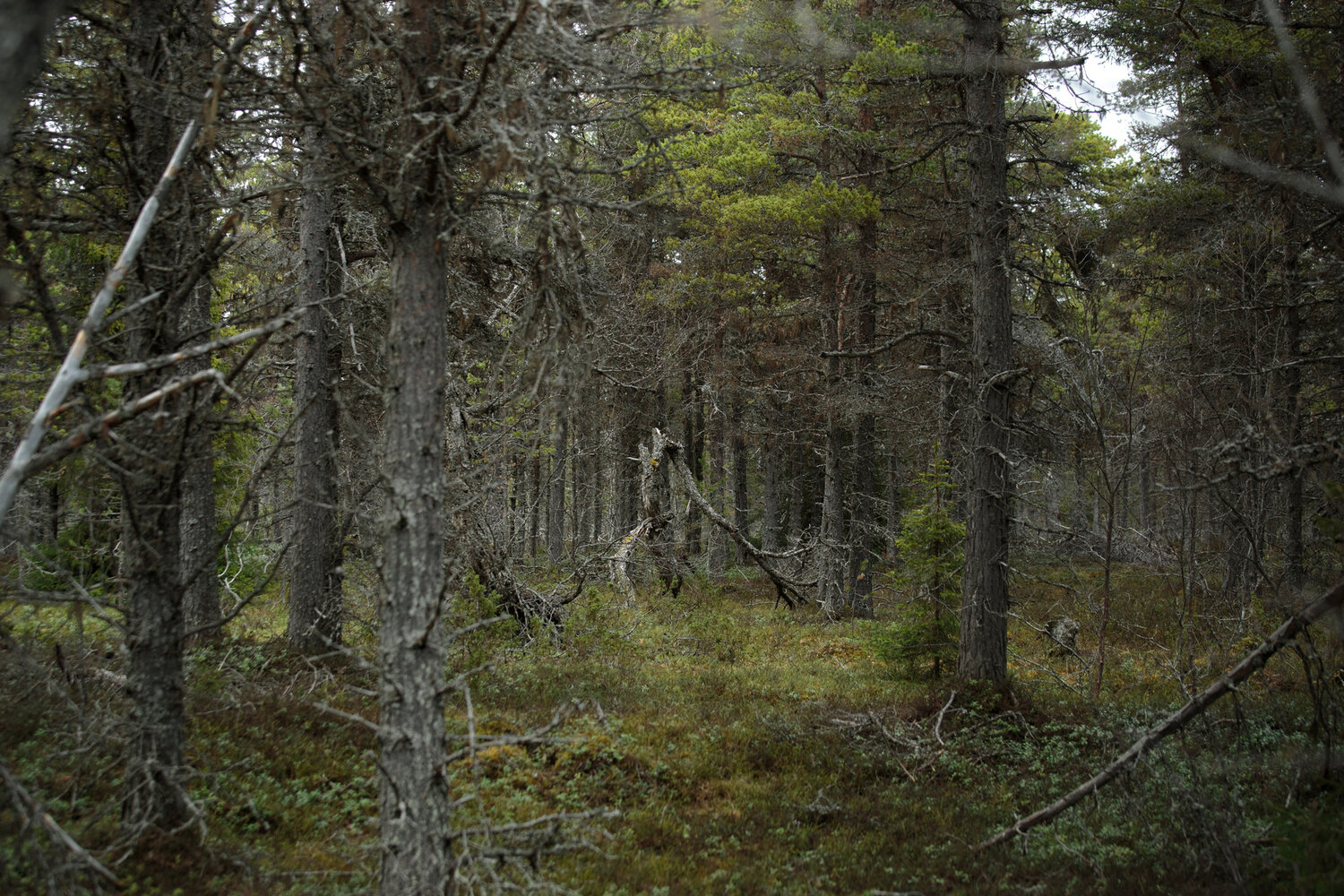 Photo #13782157