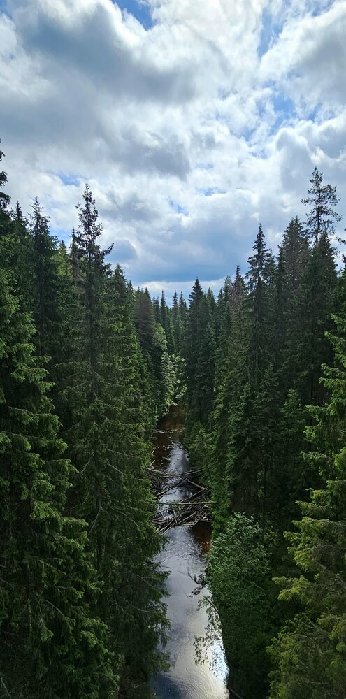 Карелия