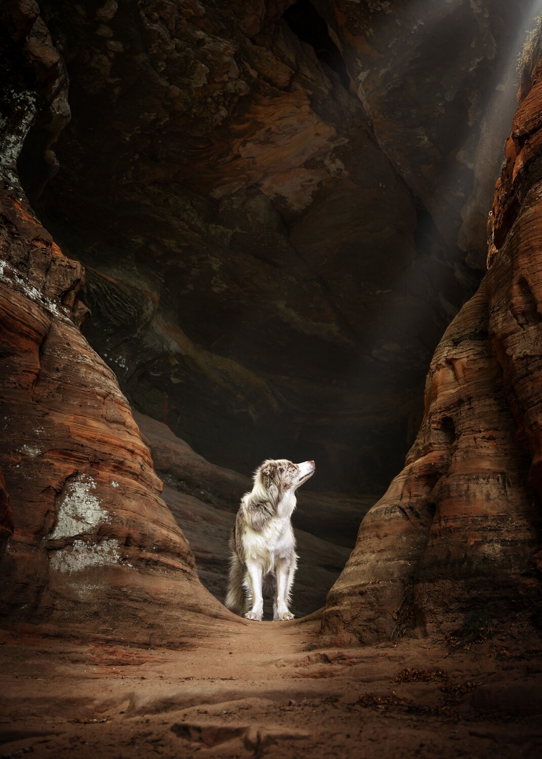 Where Light Finds Silence