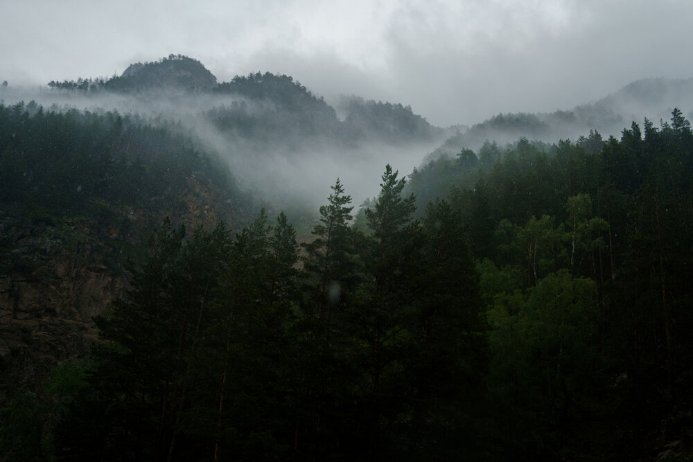 Photograph by Евгения Булычёва