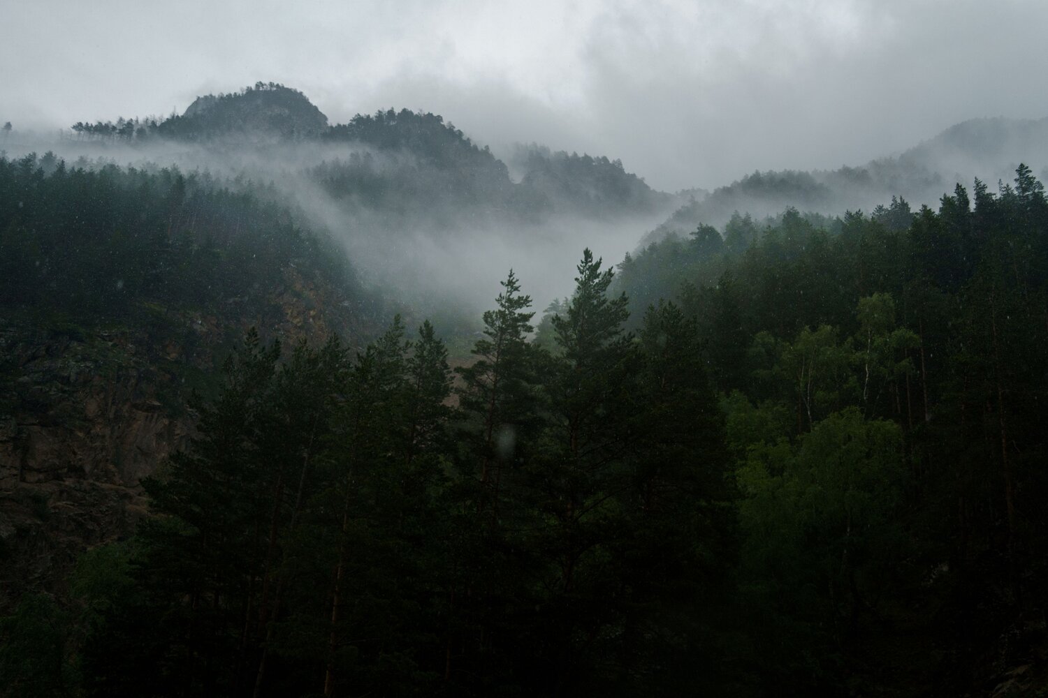 Photo #13782167