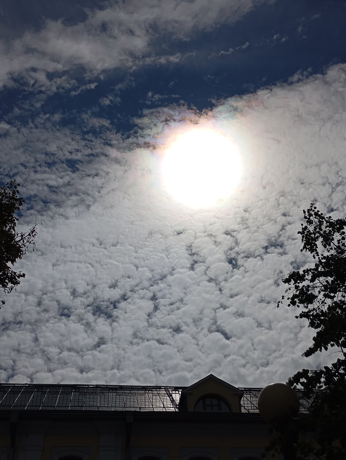 Photo #13782197