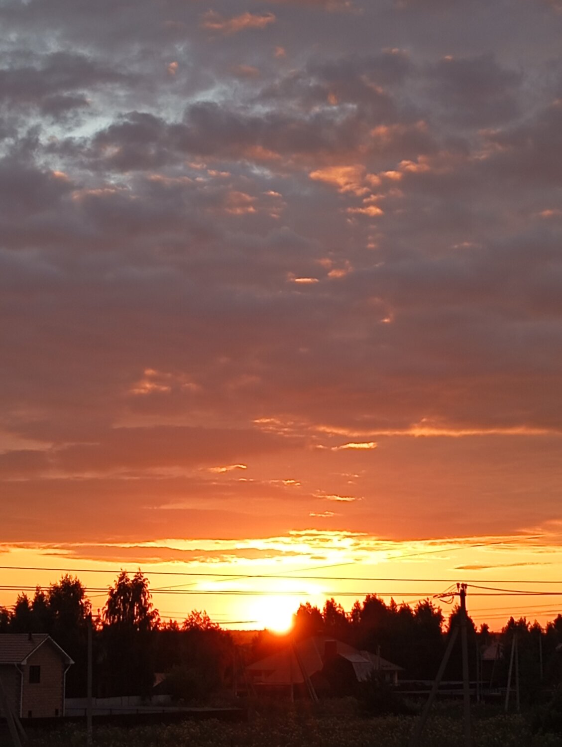 Photo #13782209