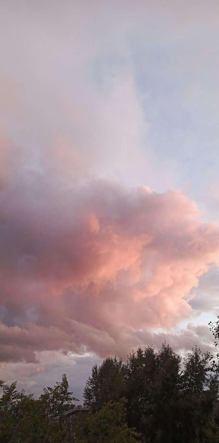 Photo #13782237