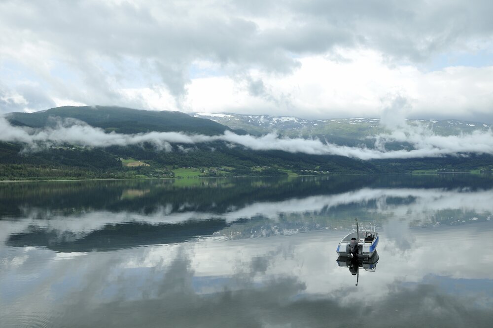 Photograph by Людмила Фоминых