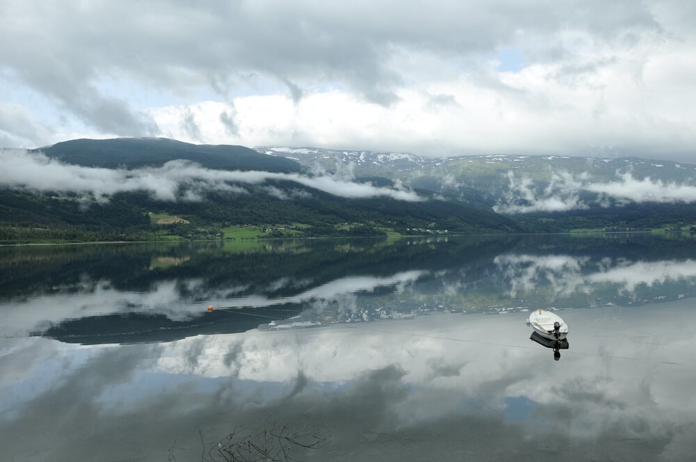 Photograph by Людмила Фоминых