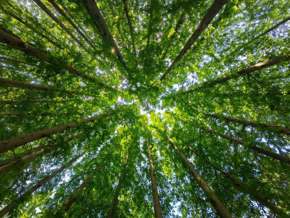 Photograph by Игорь Крыжко