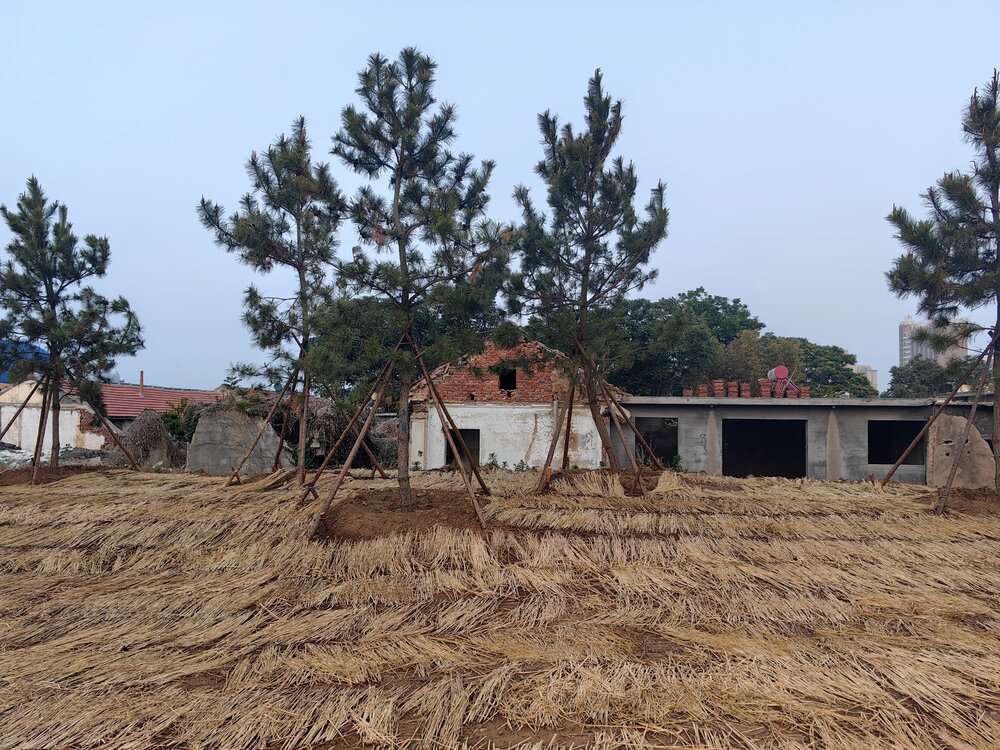 Rural part of Penglai