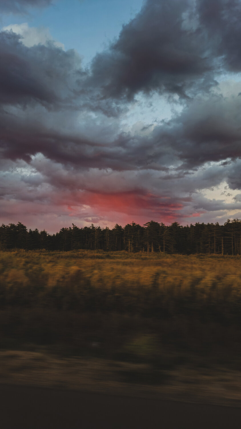 Photo #13782300