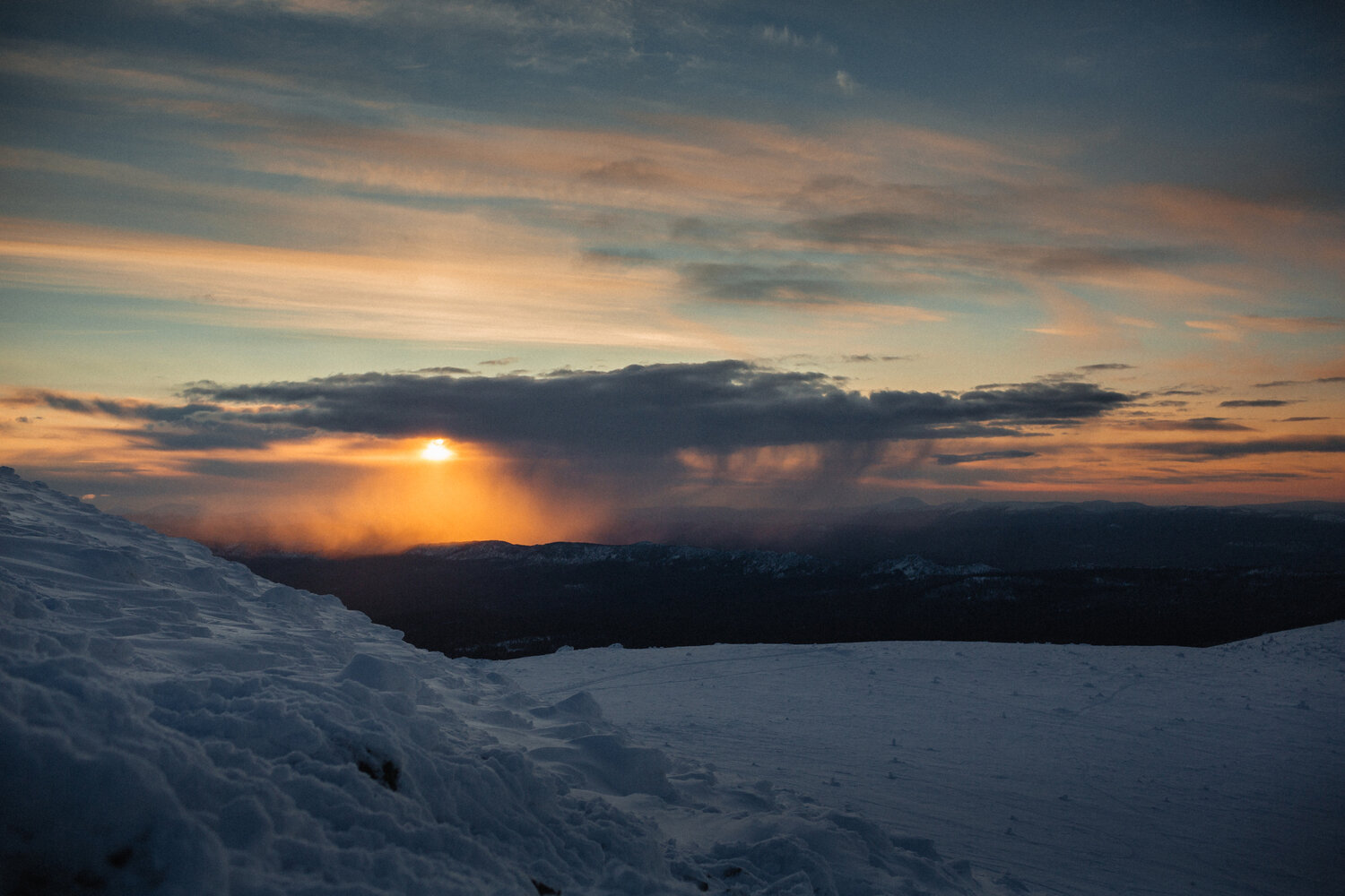 Photo #13782320