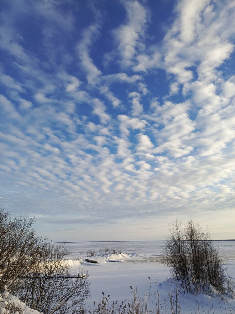 Photo #13782332