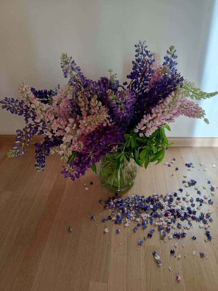 Photo #13782336