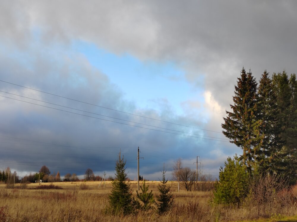 Photograph by Ирина Дружинина
