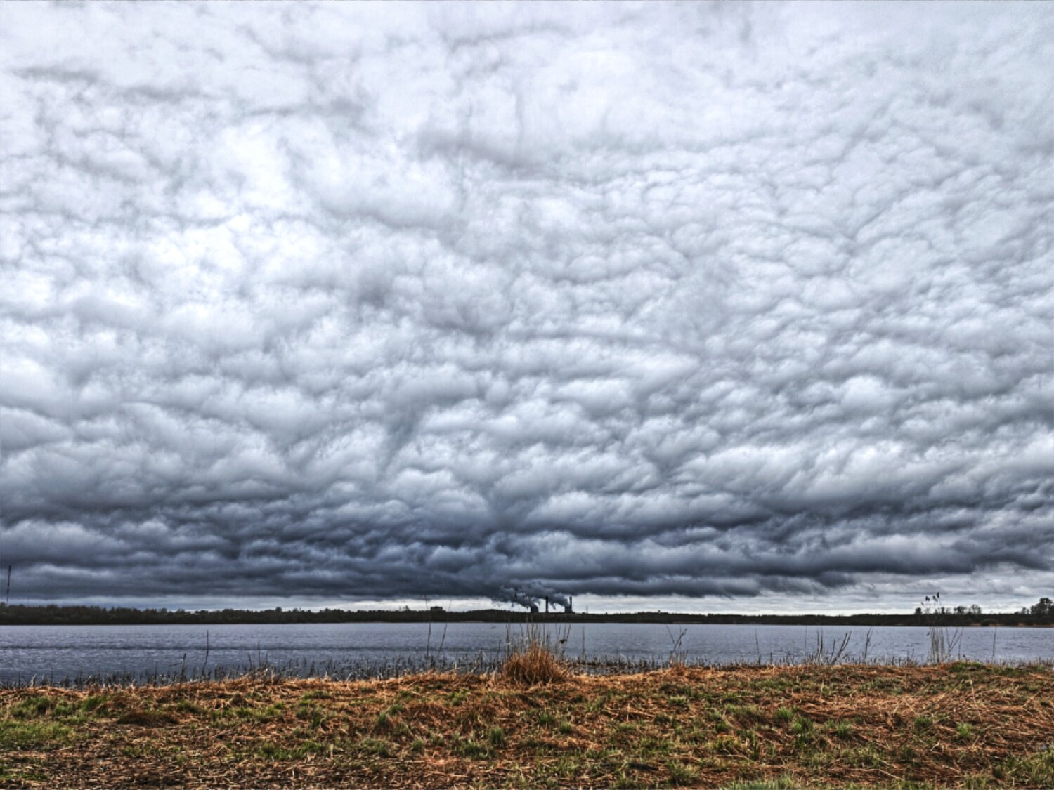 Photo #13782382
