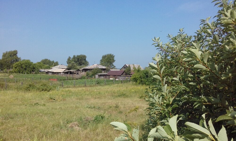 Photograph by Лида