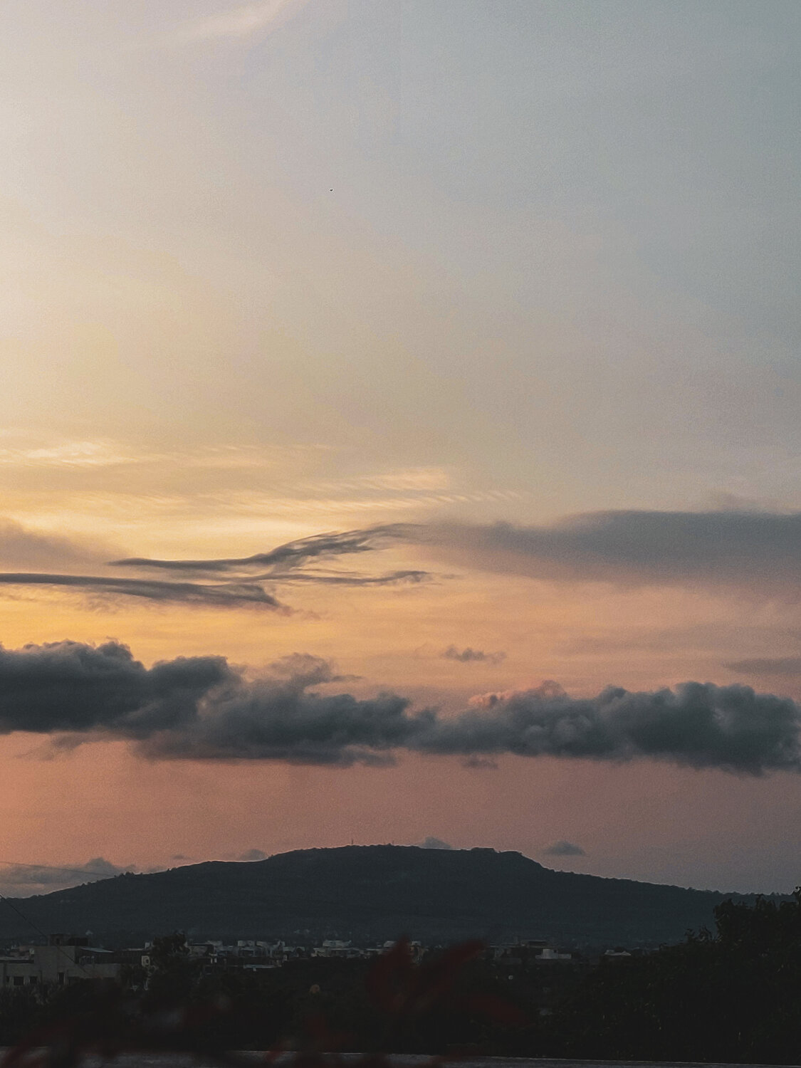 Photo #13782426