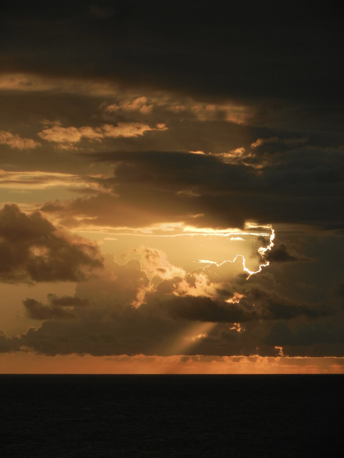Photo #13782486