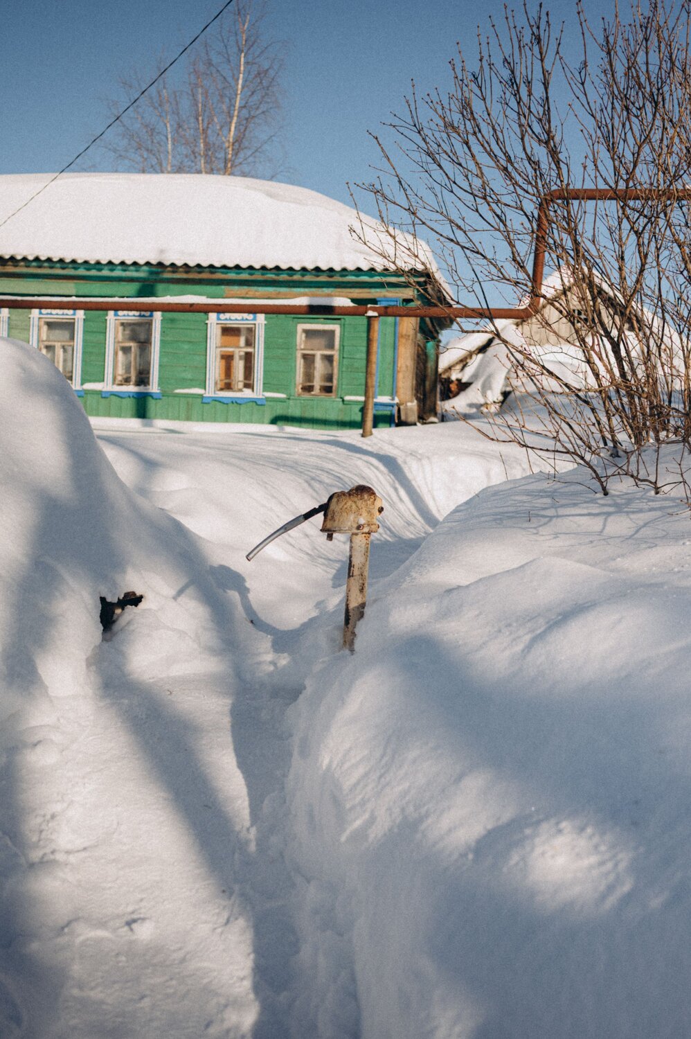 Photo #13782496