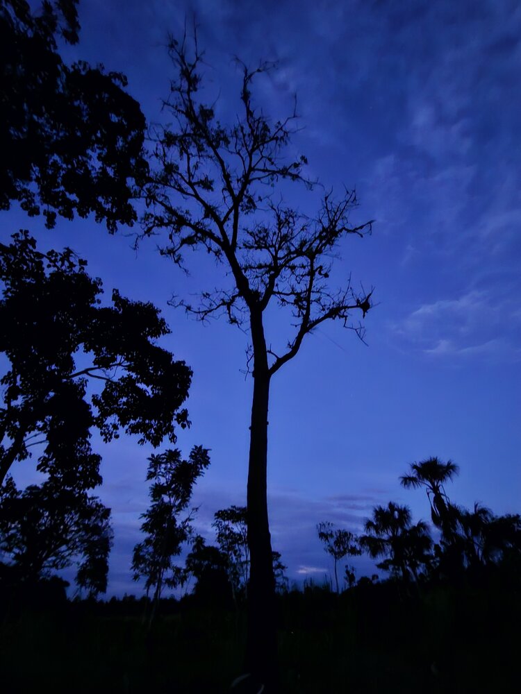 Silencio azul