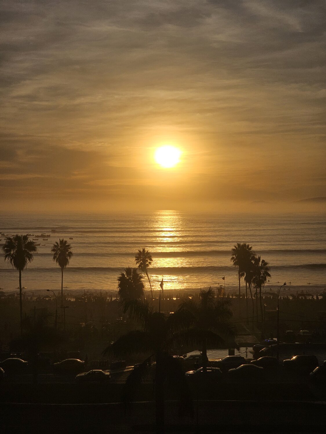 Photo #13782523