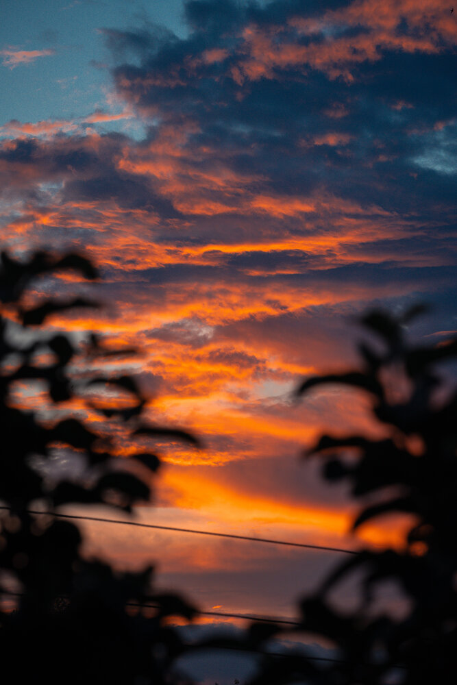 Photograph by Николай Захаров