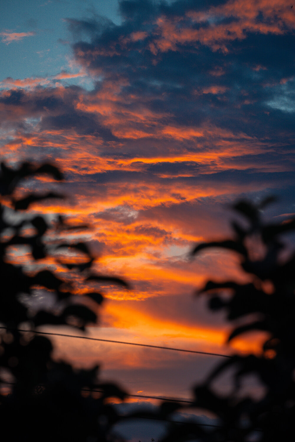 Photo #13782611