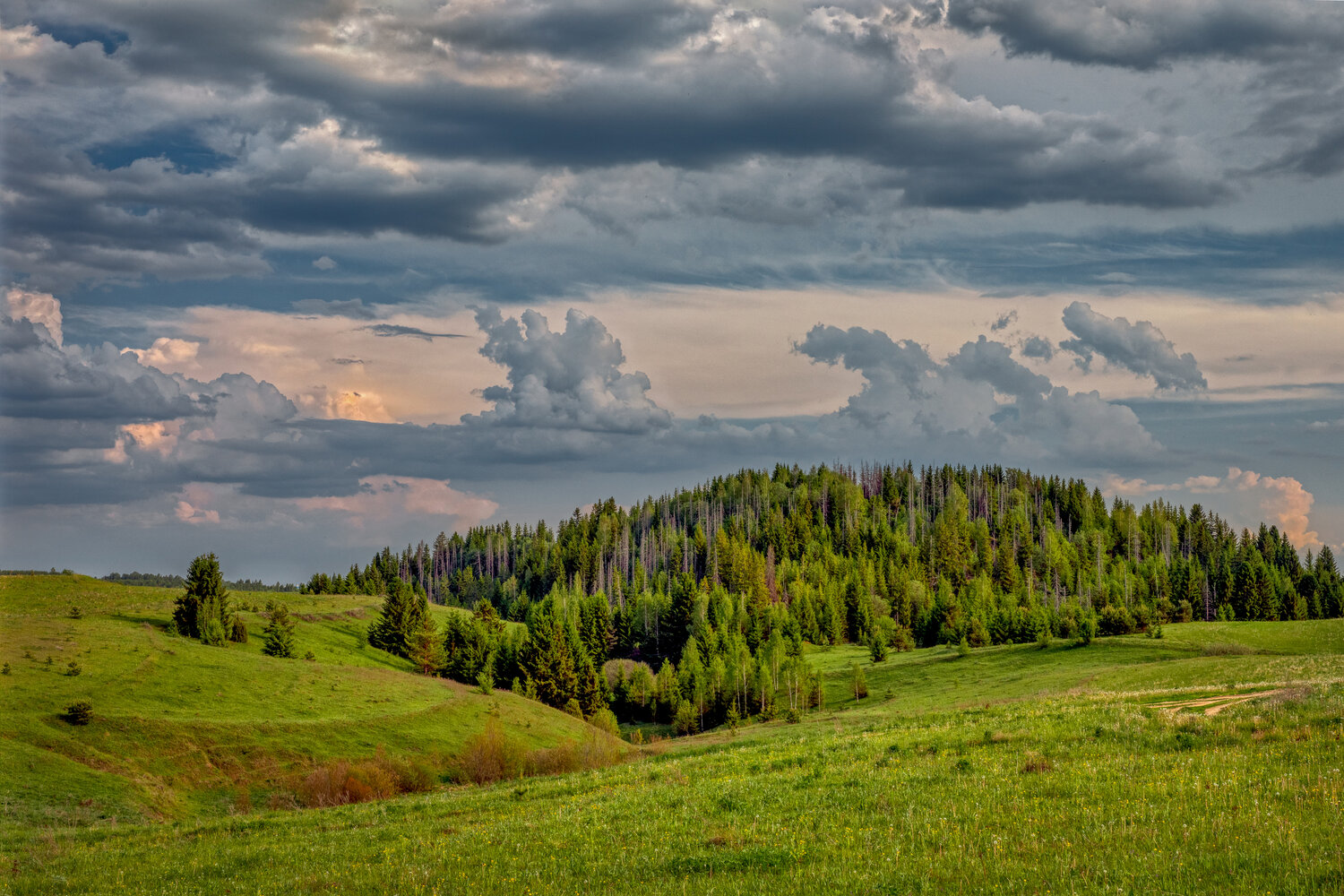 Photo #13782630