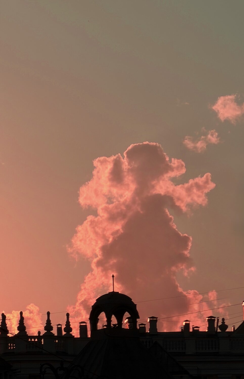 Photo #13782645