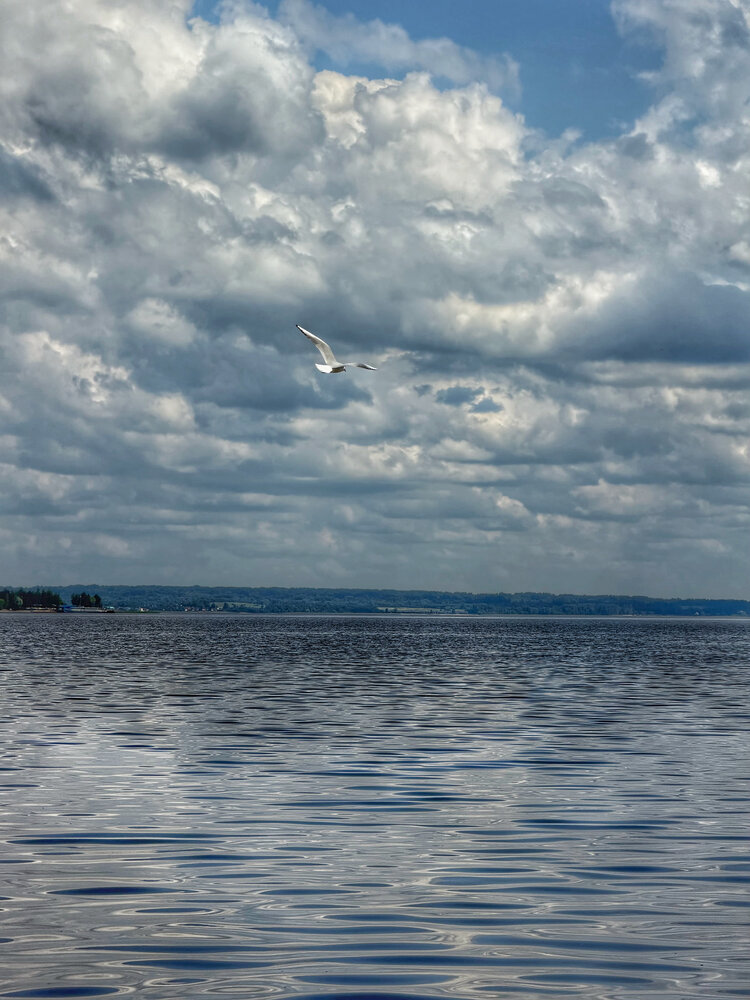 Photograph by Оксана Абакумова